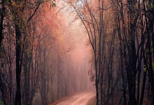 乌克兰队在关键时刻斩获胜利，成功晋级