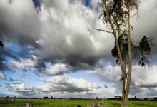 北京中赫国安迎战上海绿地申花，争夺胜利