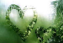 热血沸腾！今年的比赛真火爆