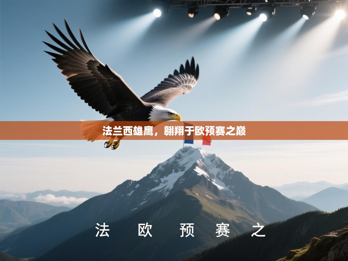法兰西雄鹰，翱翔于欧预赛之巅  第2张