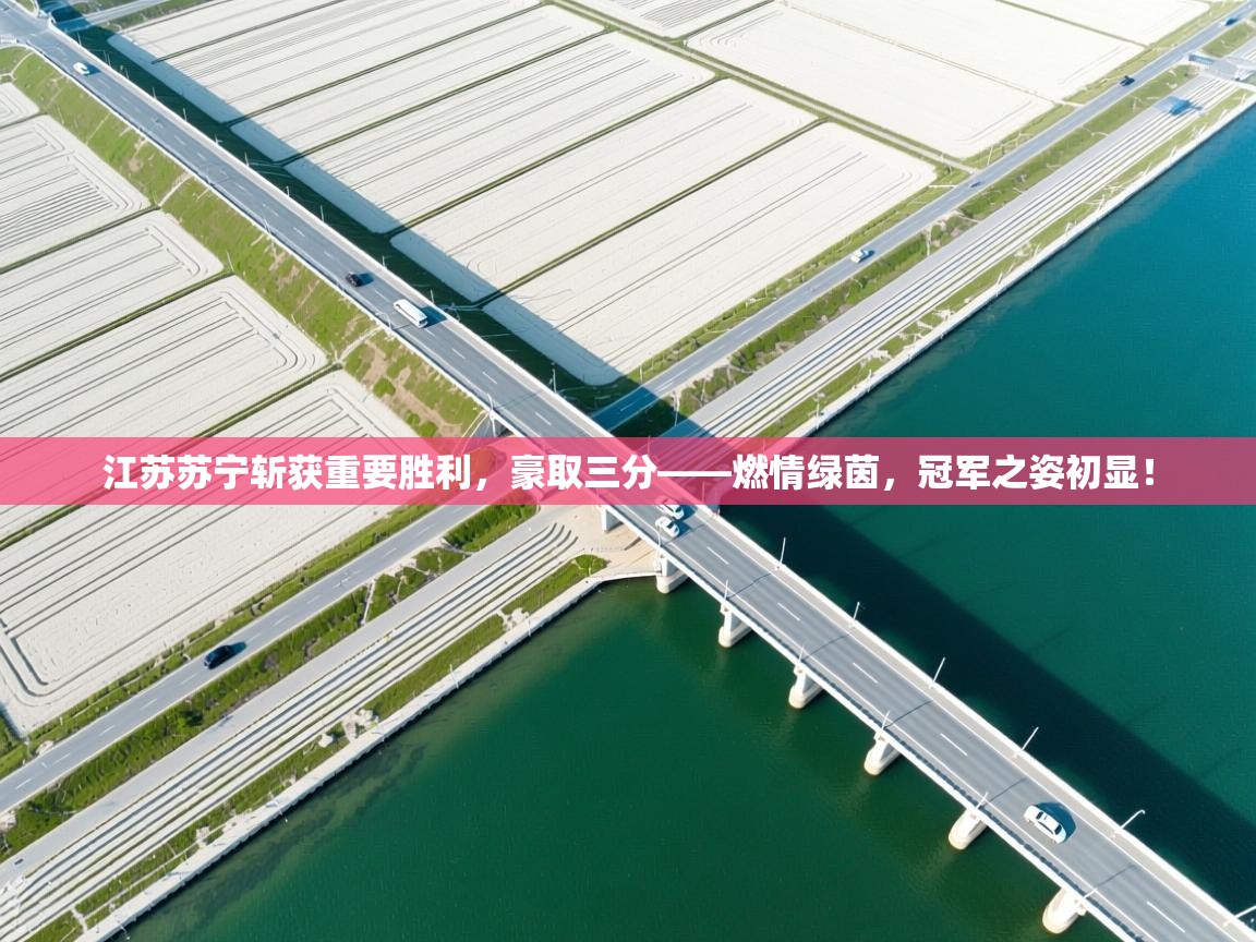 江苏苏宁斩获重要胜利,豪取三分——燃情绿茵,冠军之姿初显! 第2张